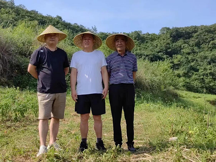 圖片4.png 圖片4.png